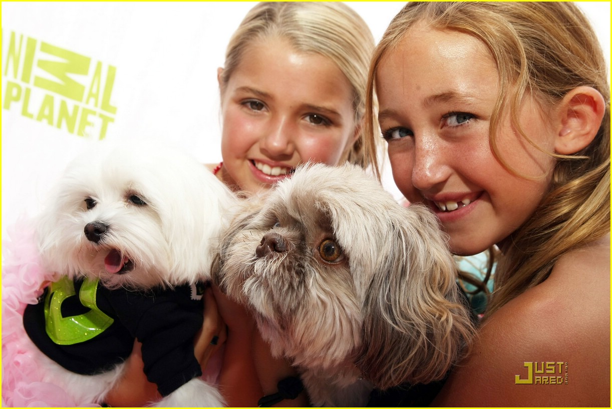 Noah Cyrus: Luxury Pet Salon Sweet