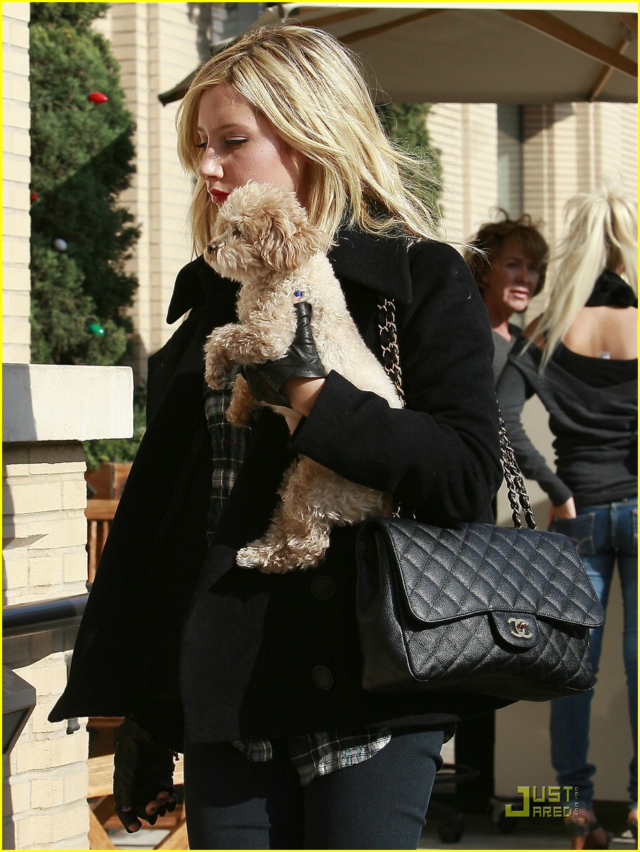 Ashley Tisdale Pampers Pooch Maui