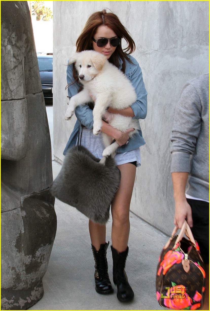 Miley Cyrus is Maxfield Marvelous