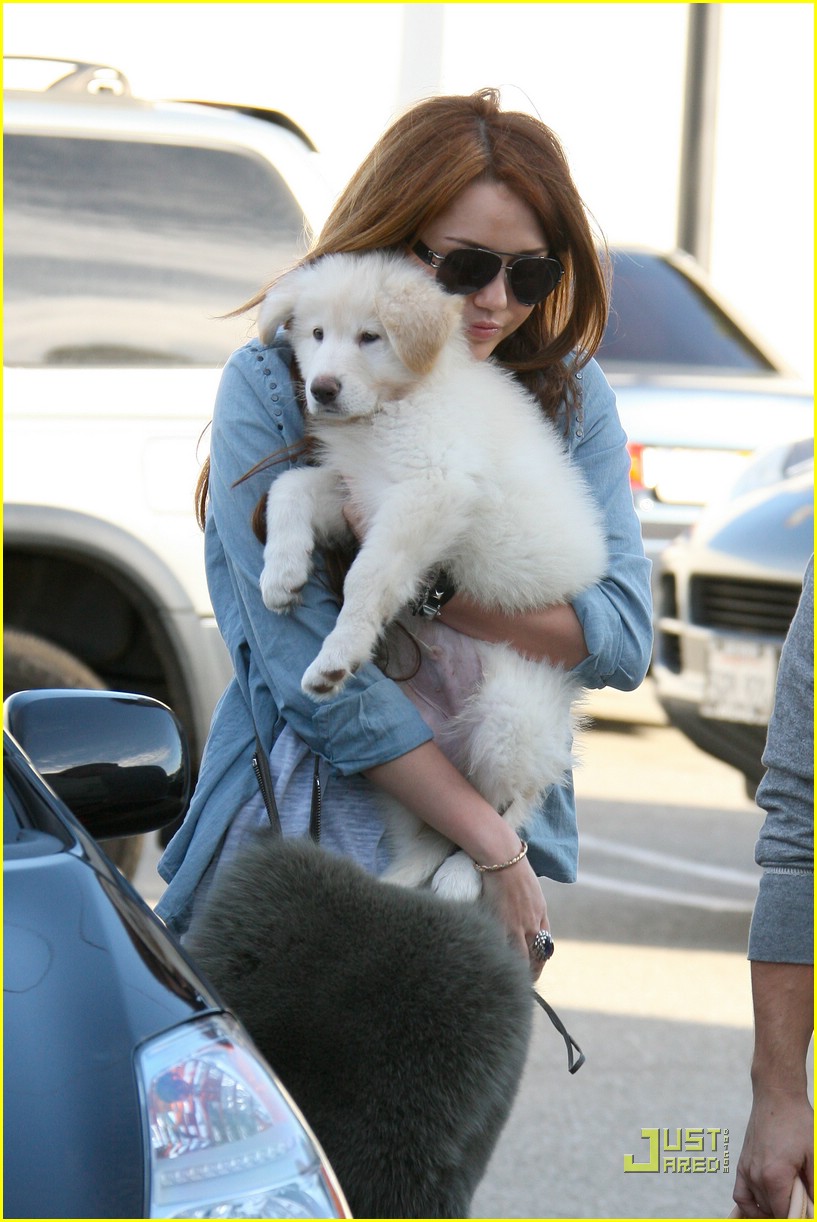 Miley Cyrus is Maxfield Marvelous
