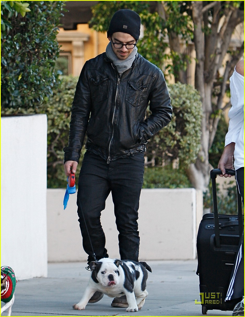 Joe Jonas & Ashley Greene: Dog Walker Duo