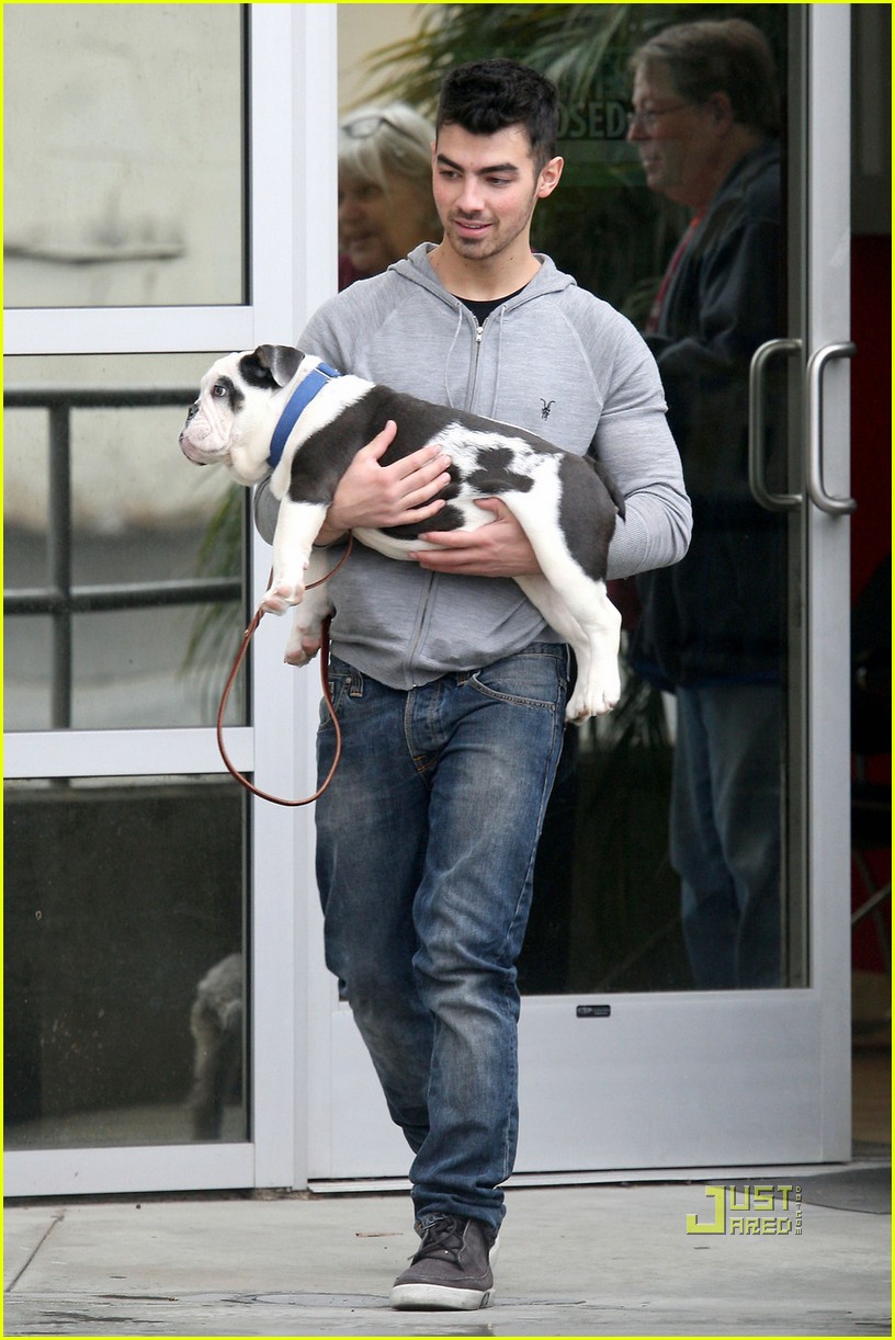 Joe Jonas: Winston Goes to the Vet!