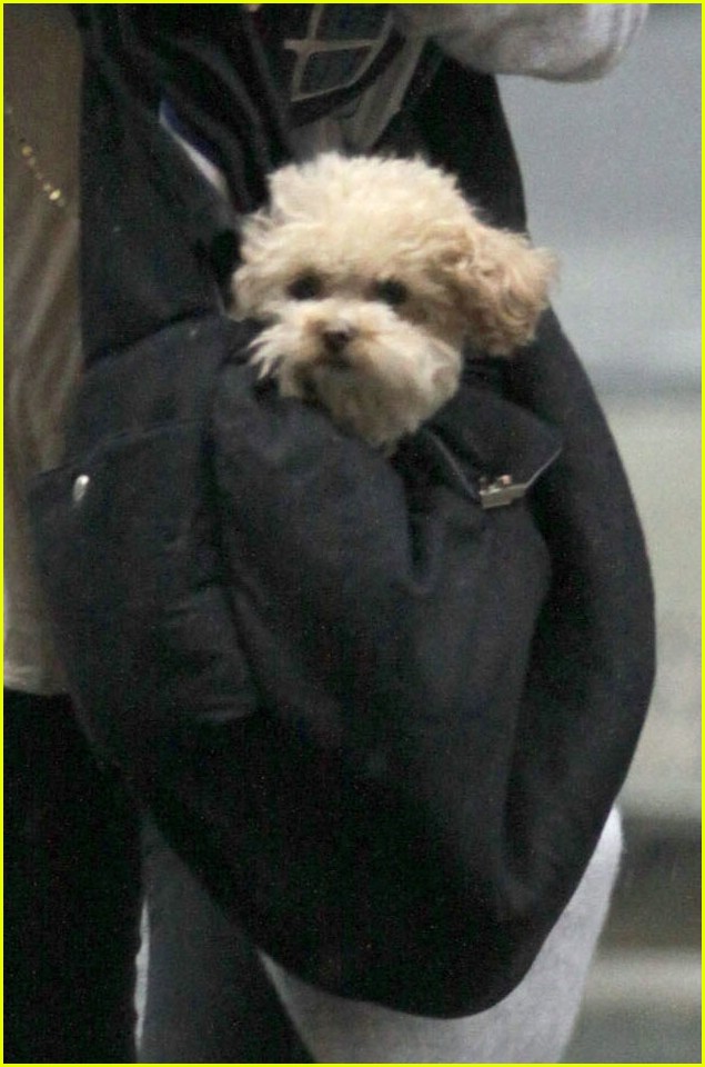 Ashley Tisdale: Lunch with Lucas Grabeel!