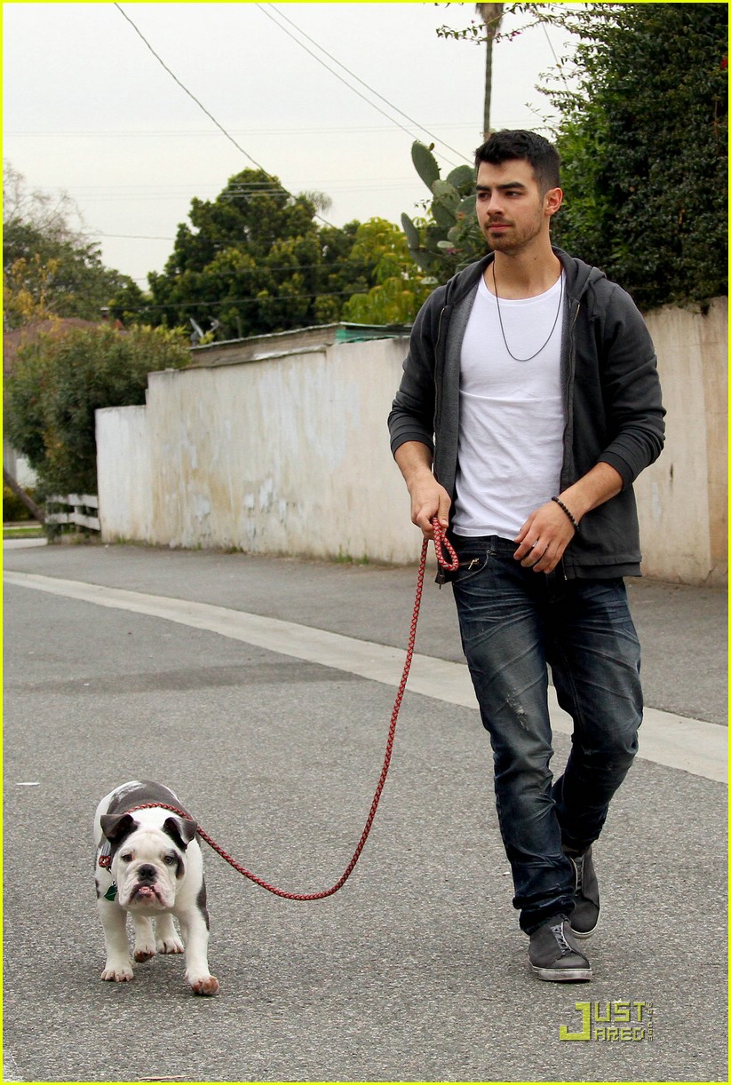 Joe Jonas: Winston Goes To The Doctor
