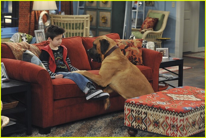 Davis Cleveland: Dog Watcher!