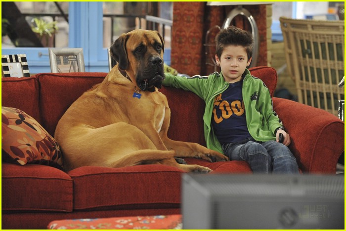 Davis Cleveland: Dog Watcher!
