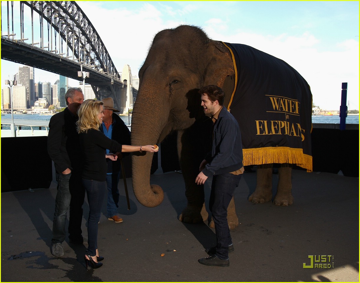 Robert Pattinson Suits Up for Sydney