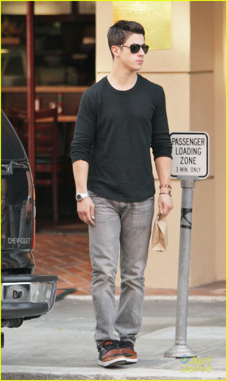David Henrie Tweets Thanksgiving Adventures