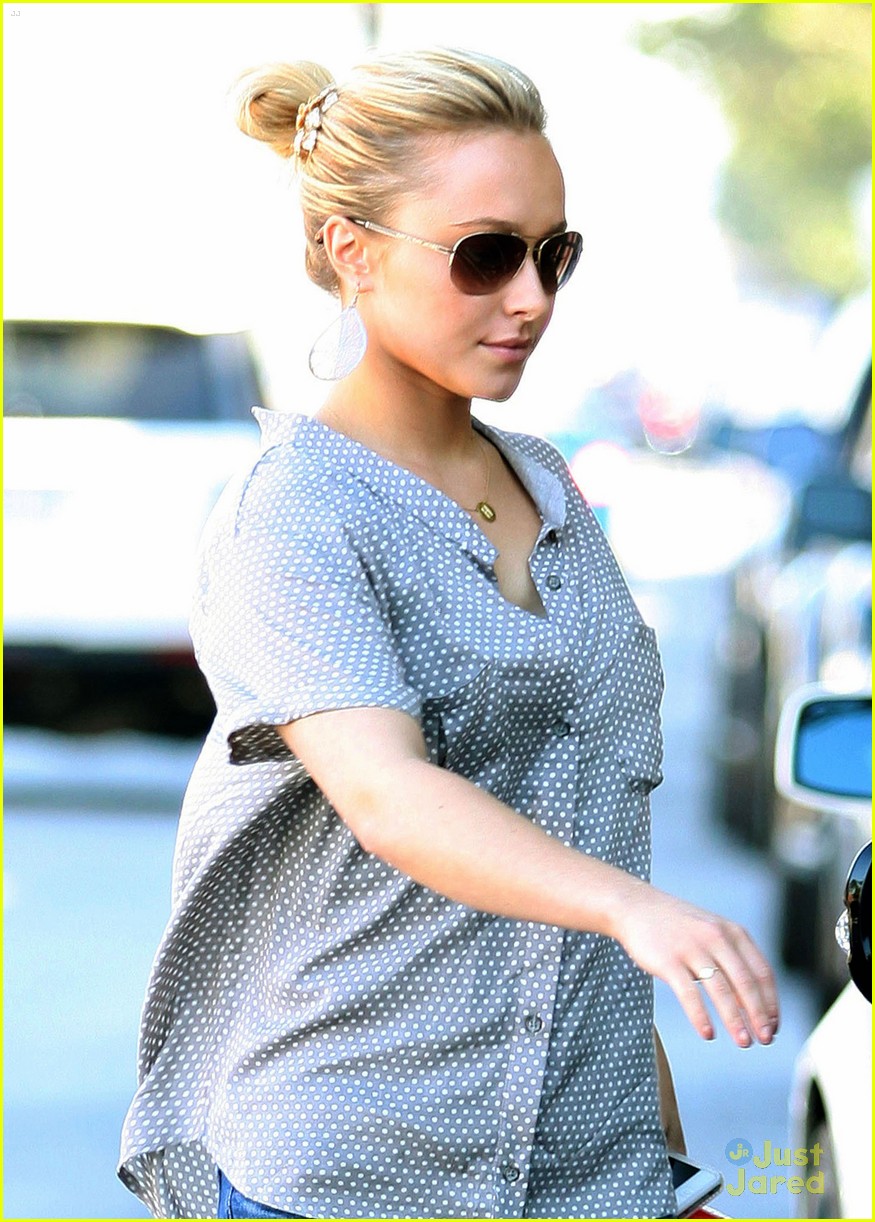 Hayden Panettiere's Parents Split