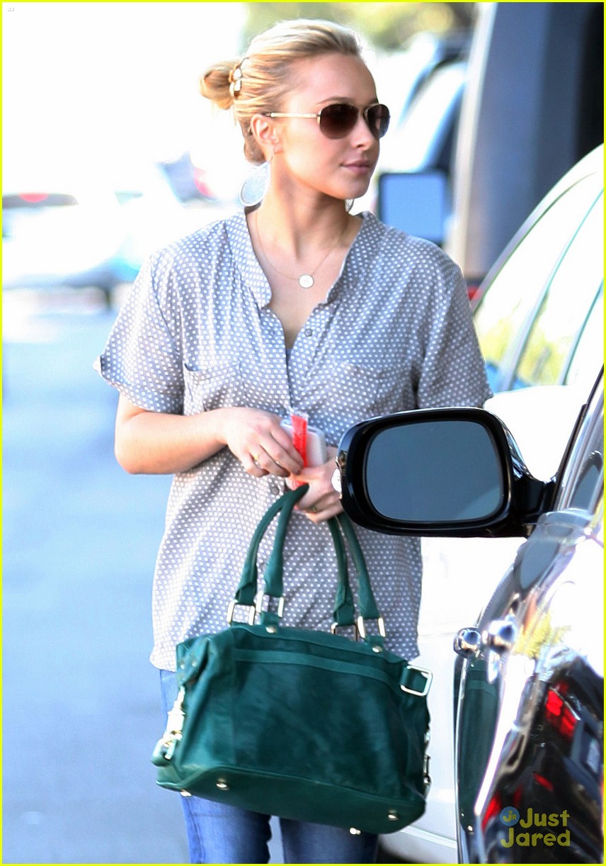 Hayden Panettiere's Parents Split
