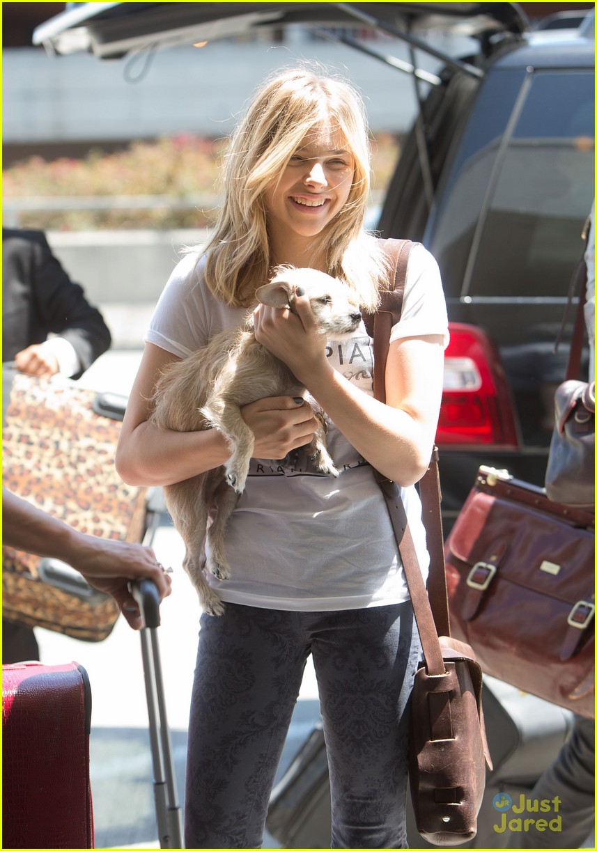 Chloe Moretz & Missy Fly Out of LAX