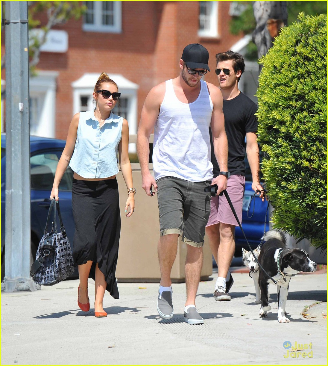 Miley Cyrus & Liam Hemsworth Rescue Another Dog!