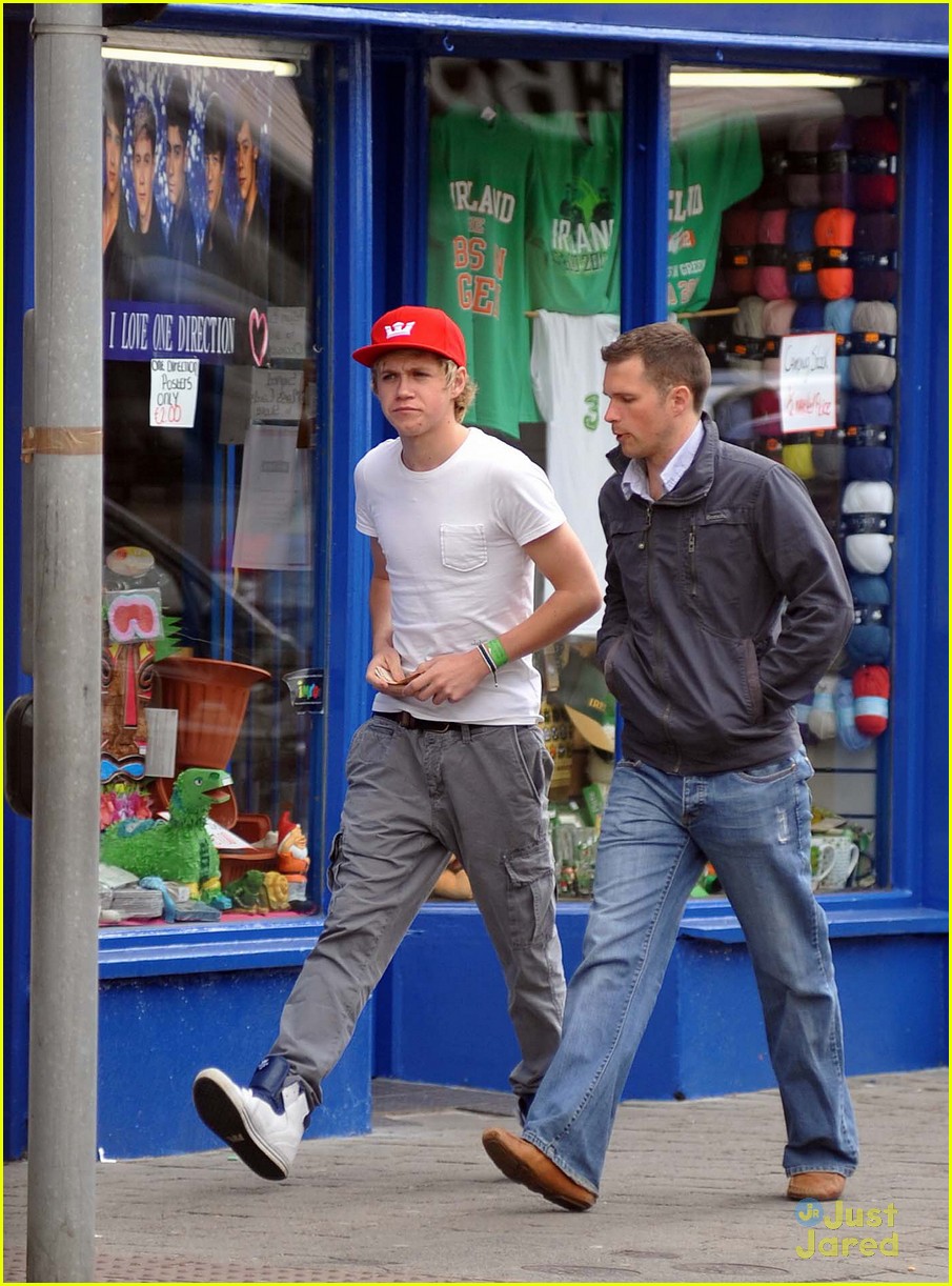 Niall Horan: 'I'd Add Ed Sheeran to One Direction'
