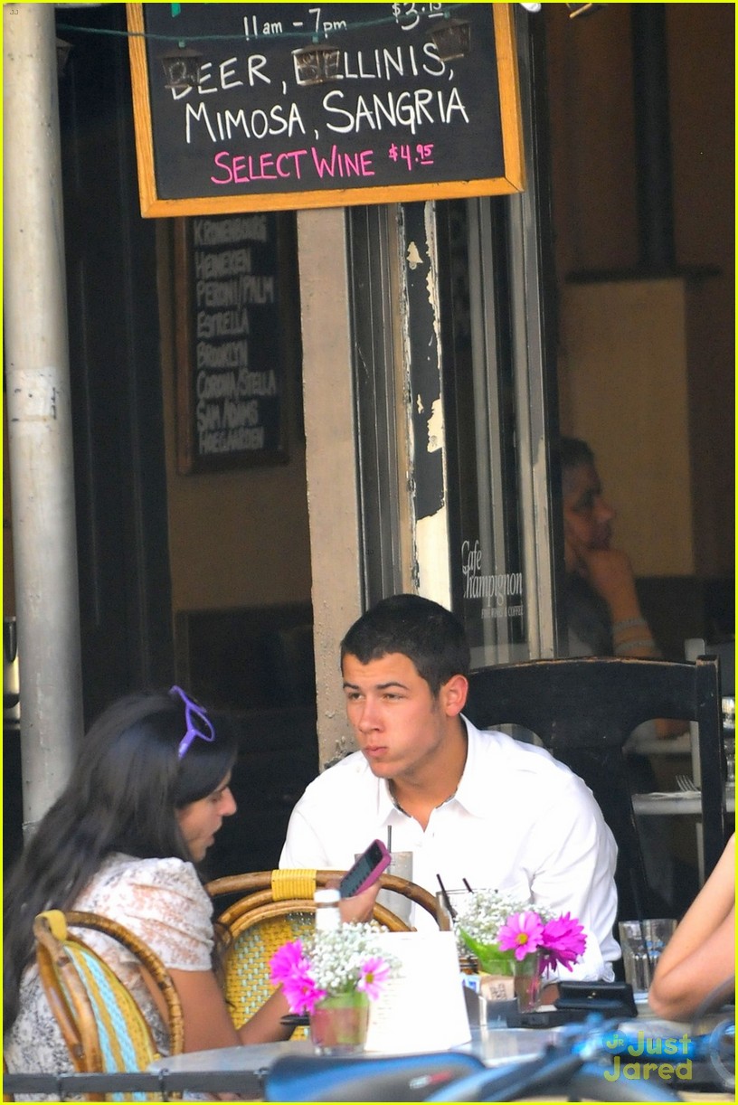 Nick Jonas: NYC Dog Walker