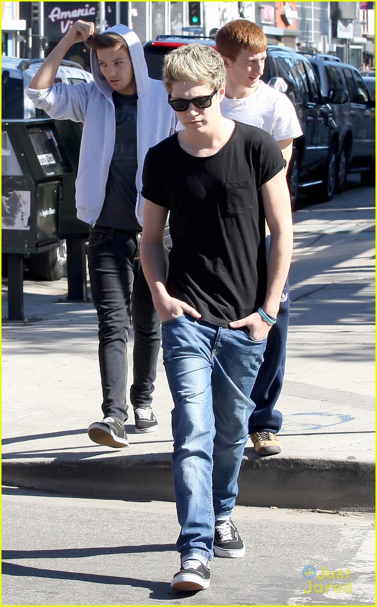 One Direction Headed To The White House?