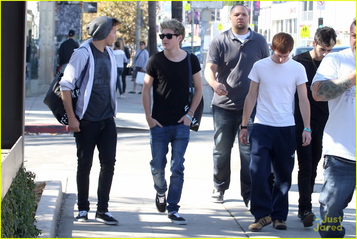 One Direction Headed To The White House?