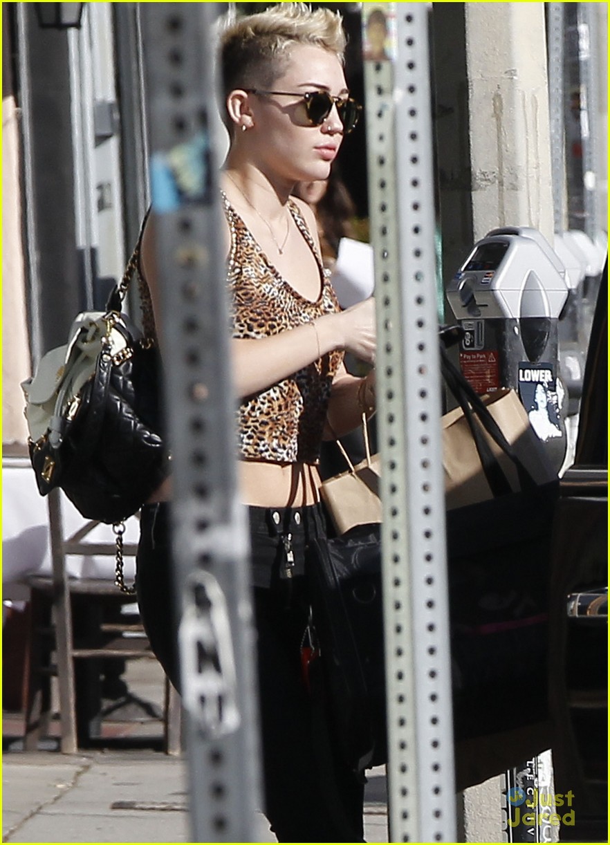 Miley Cyrus & Liam Hemsworth: Surfboard Shopping Sweeties