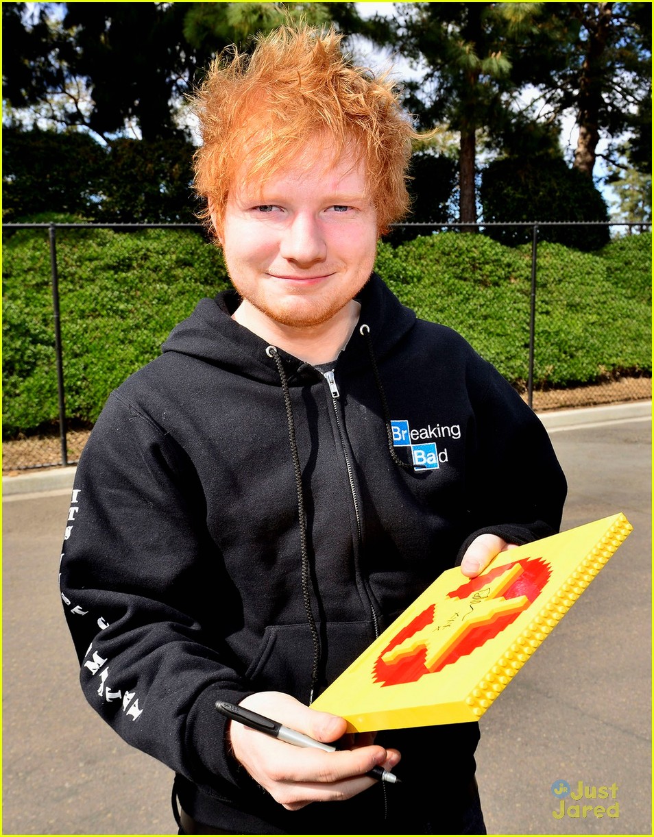 Ed Sheeran: Legoland Concert!