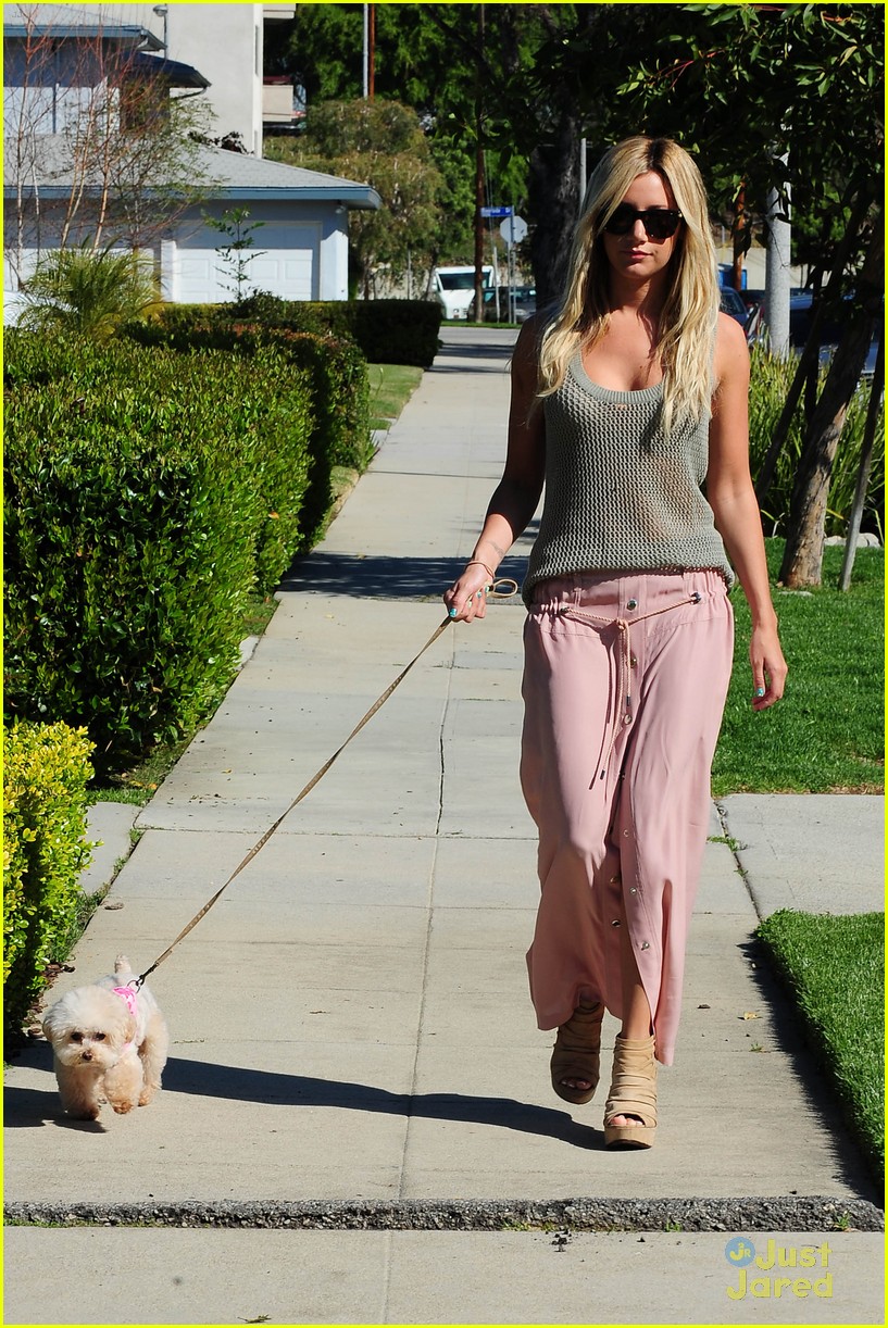 Ashley Tisdale: Darker Hair at The Grove!