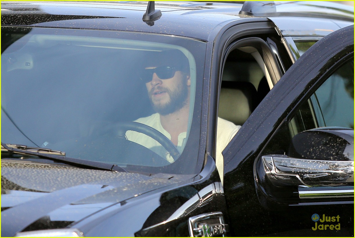 Liam Hemsworth Lands Lead in 'The Raven'?
