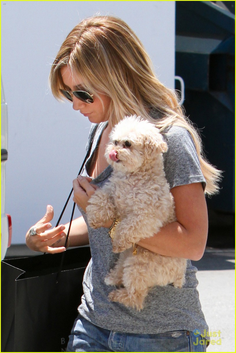 Ashley Tisdale: Doggy Day Out!