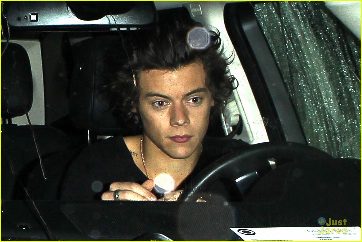 Harry Styles & Kendall Jenner: New Couple Alert?