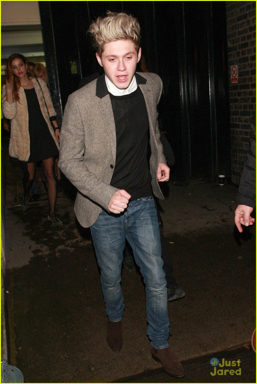 Niall Horan & Barbara Palvin: New Year's Eve Couple!