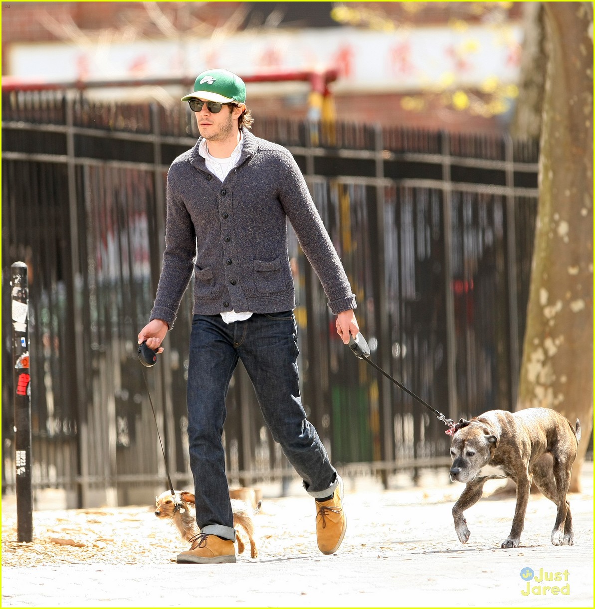 Adam Brody Walks His Dog Penny Lane & Leighton Meester's Dog Trudy in NYC