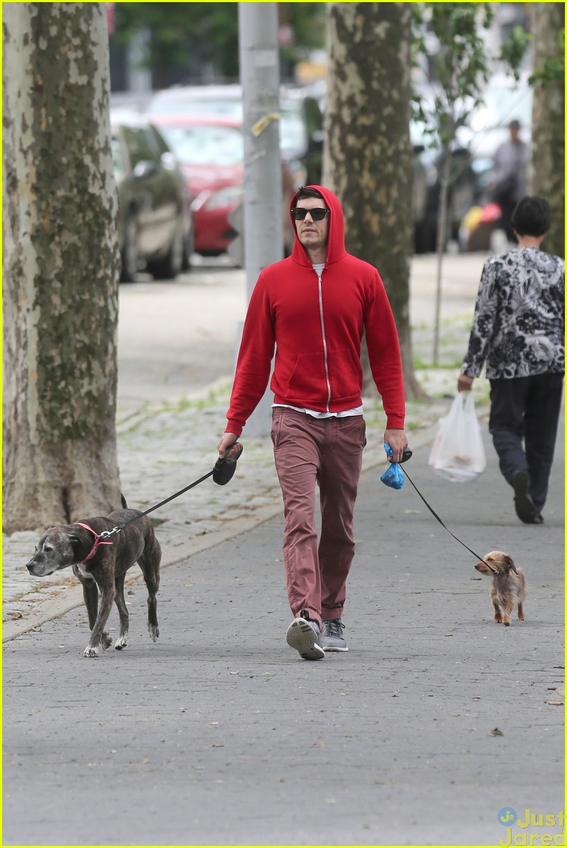 Adam Brody Does Dog Duty While Leighton Meester Performs on Broadway!