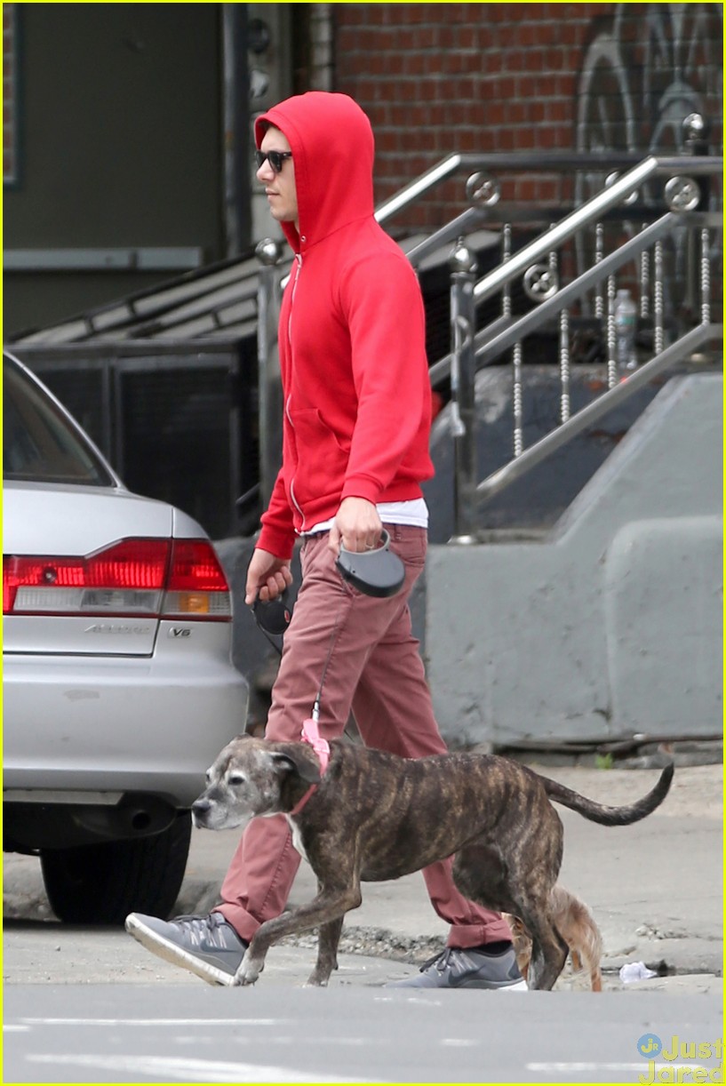 Adam Brody Does Dog Duty While Leighton Meester Performs on Broadway!