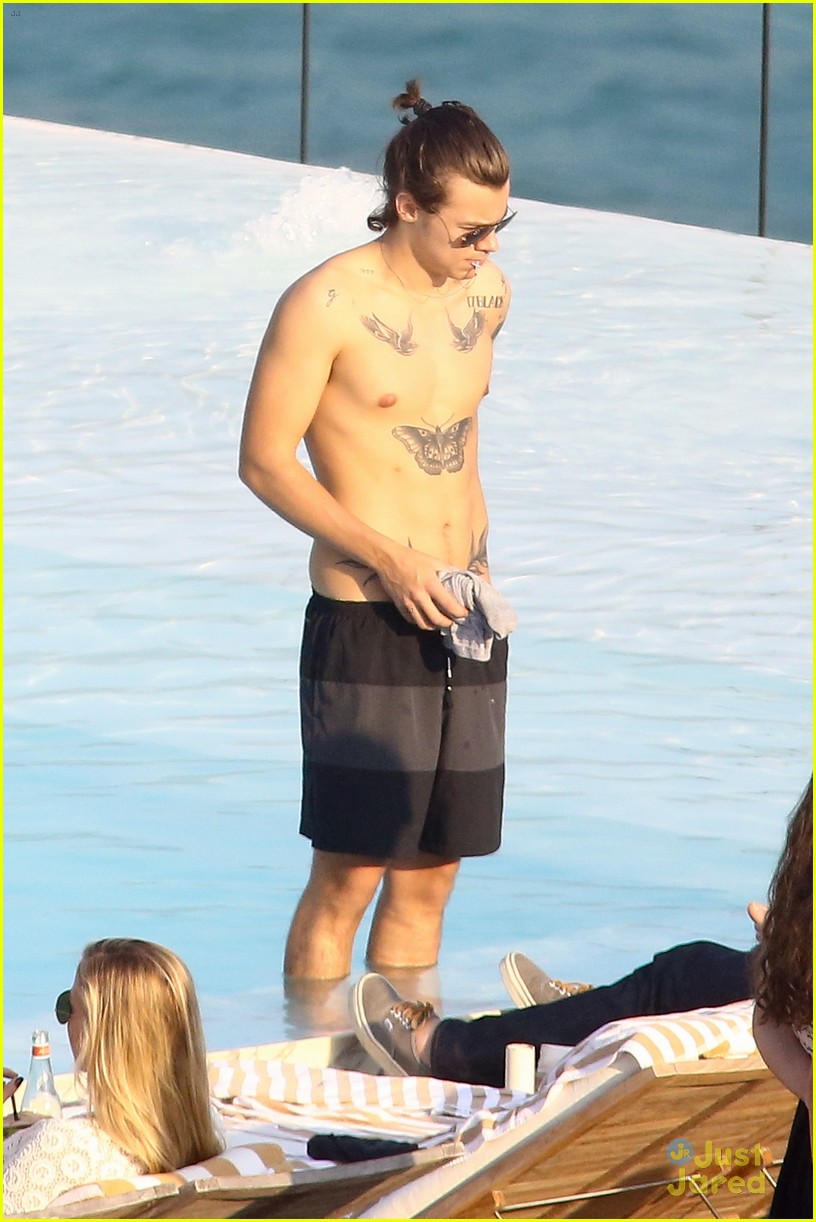 Harry Styles Goes Shirtless Again in Rio!