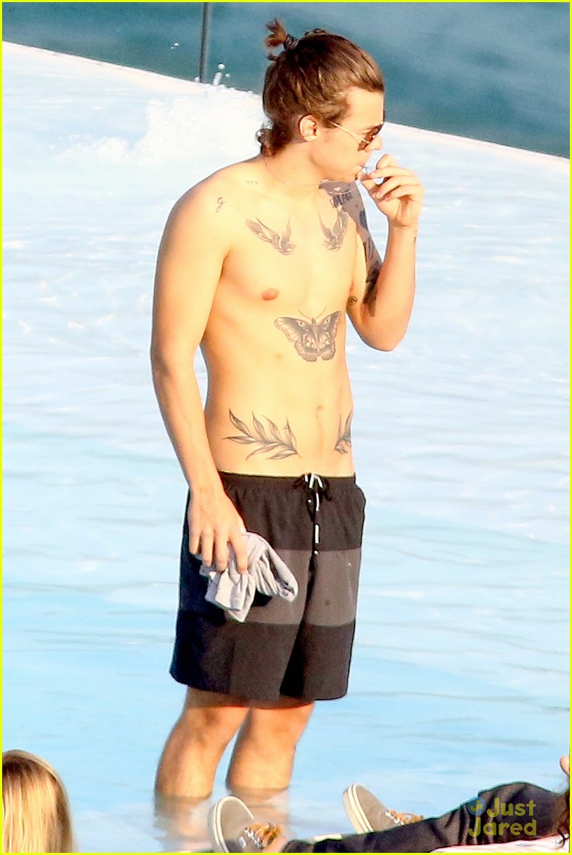 Harry Styles Goes Shirtless Again in Rio!