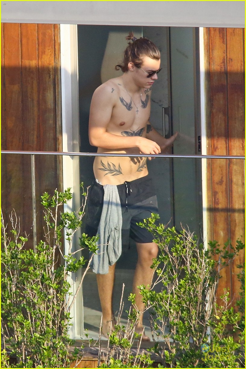 Harry Styles Goes Shirtless Again in Rio!