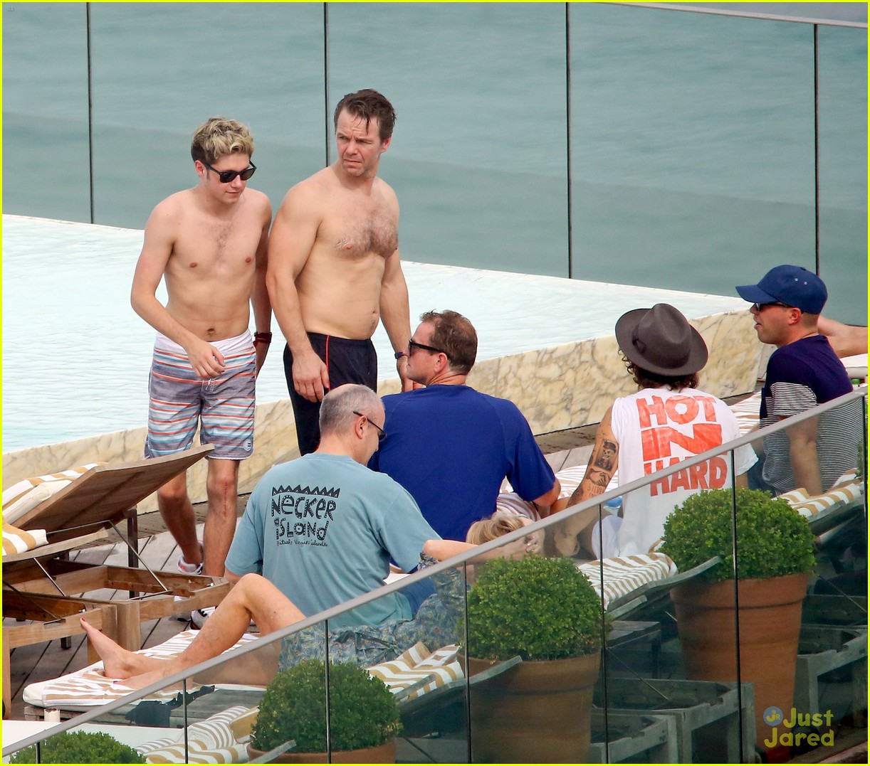 Harry Styles Shows Off Tattoos; Gets Tossed Into Pool in Rio