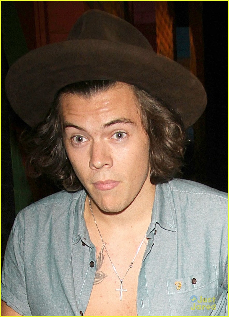Harry Styles Shows Some Skin in Partially Unbuttoned Shirt!
