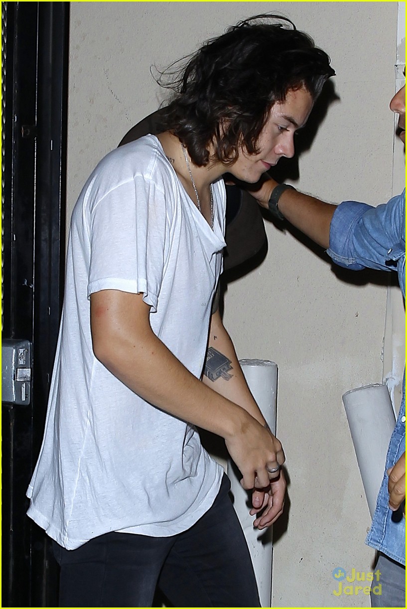 Harry Styles Can't Stop Listening to Kacey Musgraves!