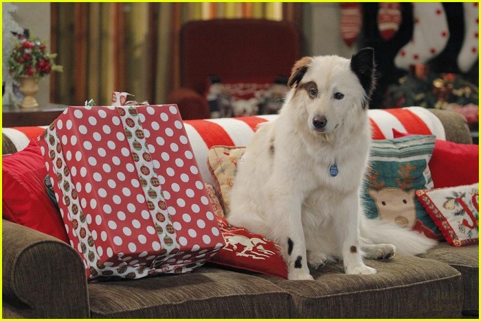 Avery, Tyler & Chloe Discover The True Meaning of Christmas on Tonight's 'Dog With A Blog'