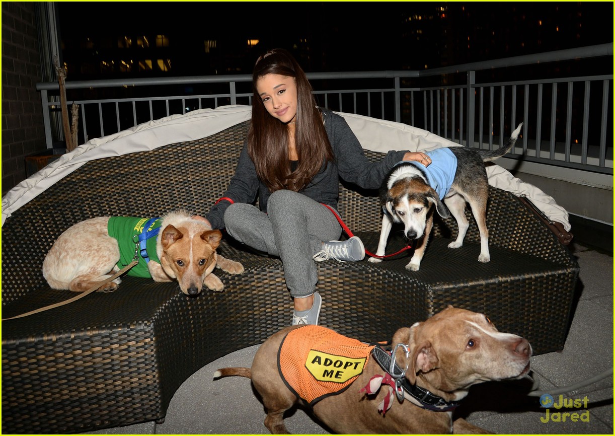 Ariana Grande Will Pay Adoption Fees for These Dogs!