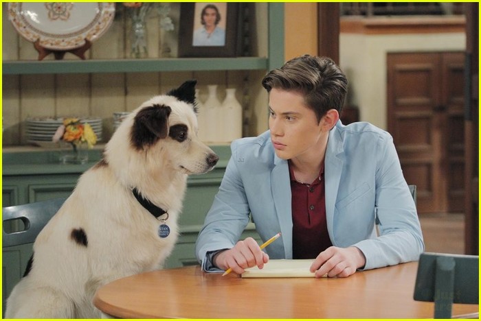 Chloe Wrestles With Stan on 'Dog With A Blog' Tonight!