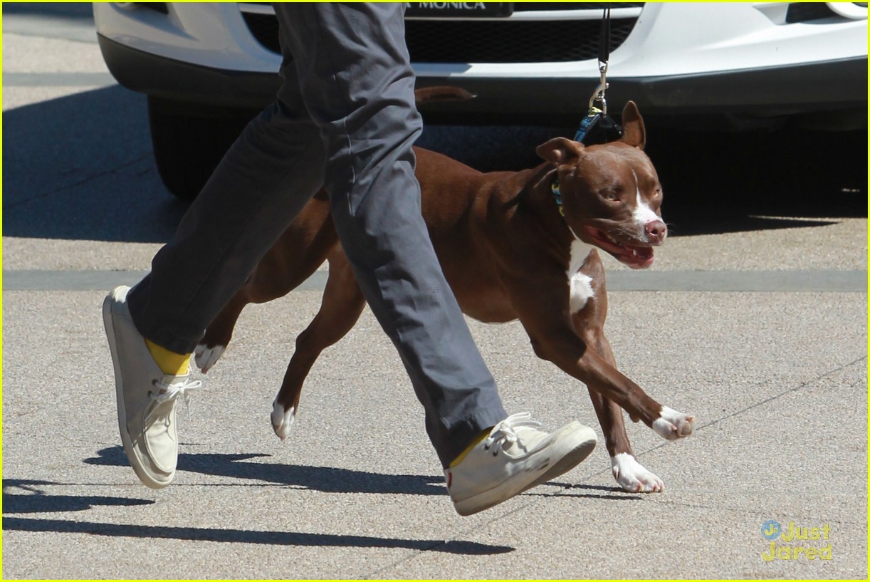 Liam Hemsworth Grabs Lunch With His Dog After 'Independence Day 2' Casting News