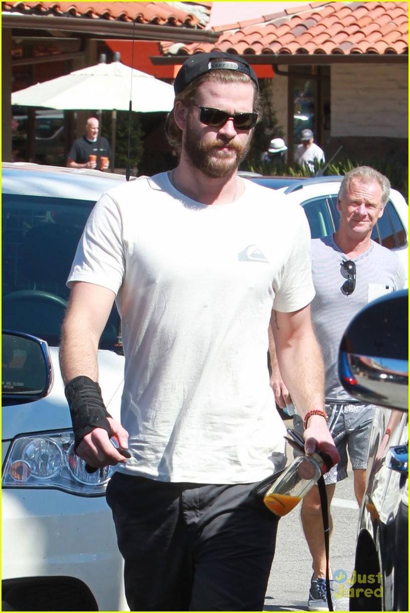 Liam Hemsworth Grabs Lunch With His Dog After 'Independence Day 2' Casting News