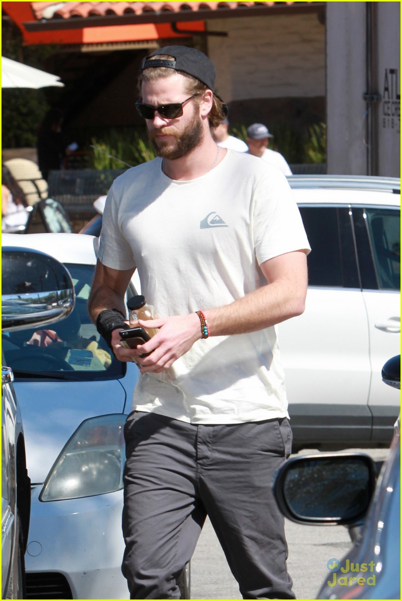 Liam Hemsworth Grabs Lunch With His Dog After 'Independence Day 2' Casting News