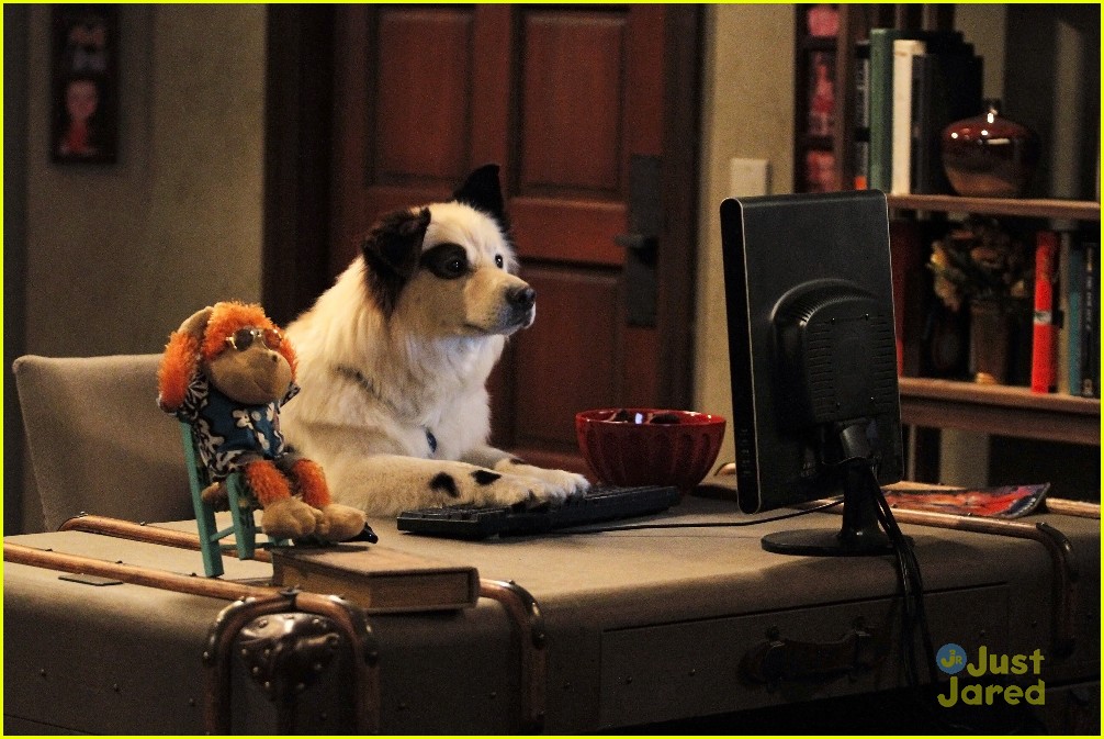 Olivia Holt Gets Really Wacky On 'Dog With A Blog' Tonight!