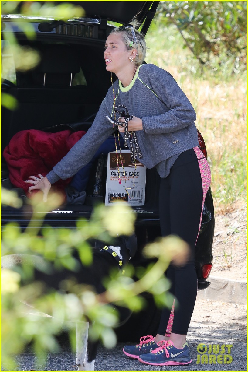 Miley Cyrus Skips Coachella for Her Dogs & Gold Nipple Pasties