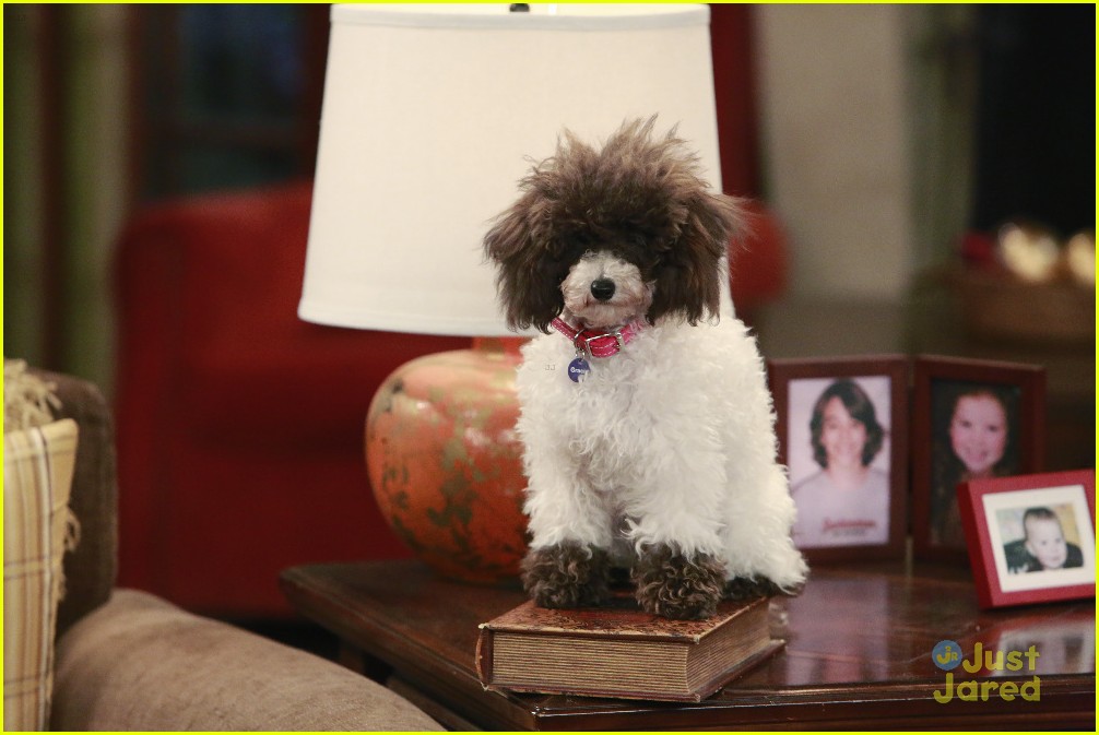 Stan's Daughter Gracie Becomes An Internet Sensation On 'Dog With A Blog' Tonight!