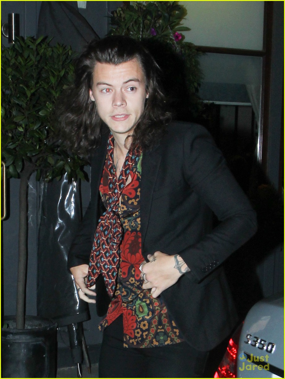 Harry Styles Reportedly Hooking Up With Victoria's Secret Model Sara Sampaio