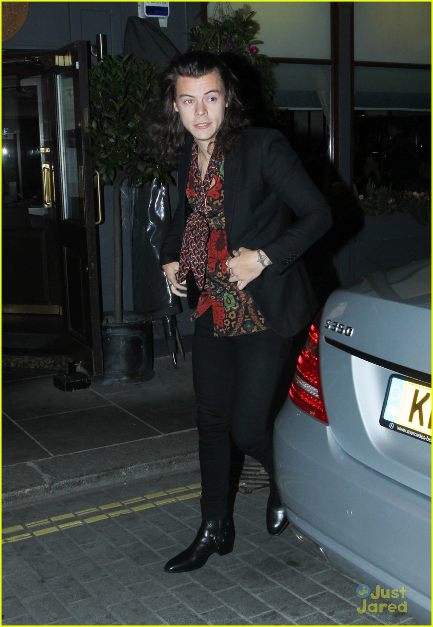 Harry Styles Reportedly Hooking Up With Victoria's Secret Model Sara Sampaio