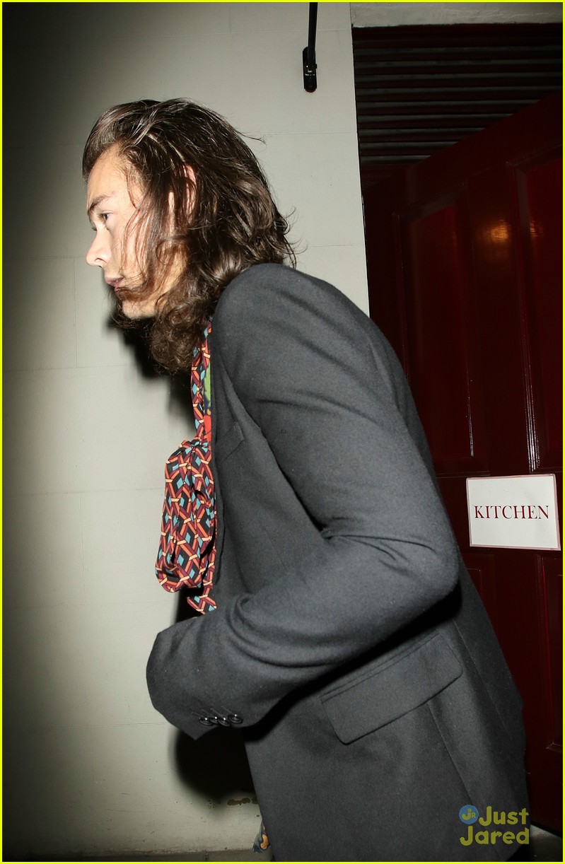 Harry Styles Reportedly Hooking Up With Victoria's Secret Model Sara Sampaio
