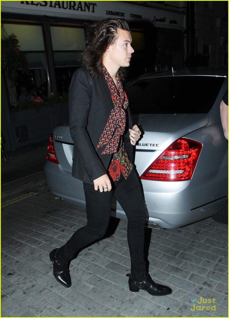Harry Styles Reportedly Hooking Up With Victoria's Secret Model Sara Sampaio