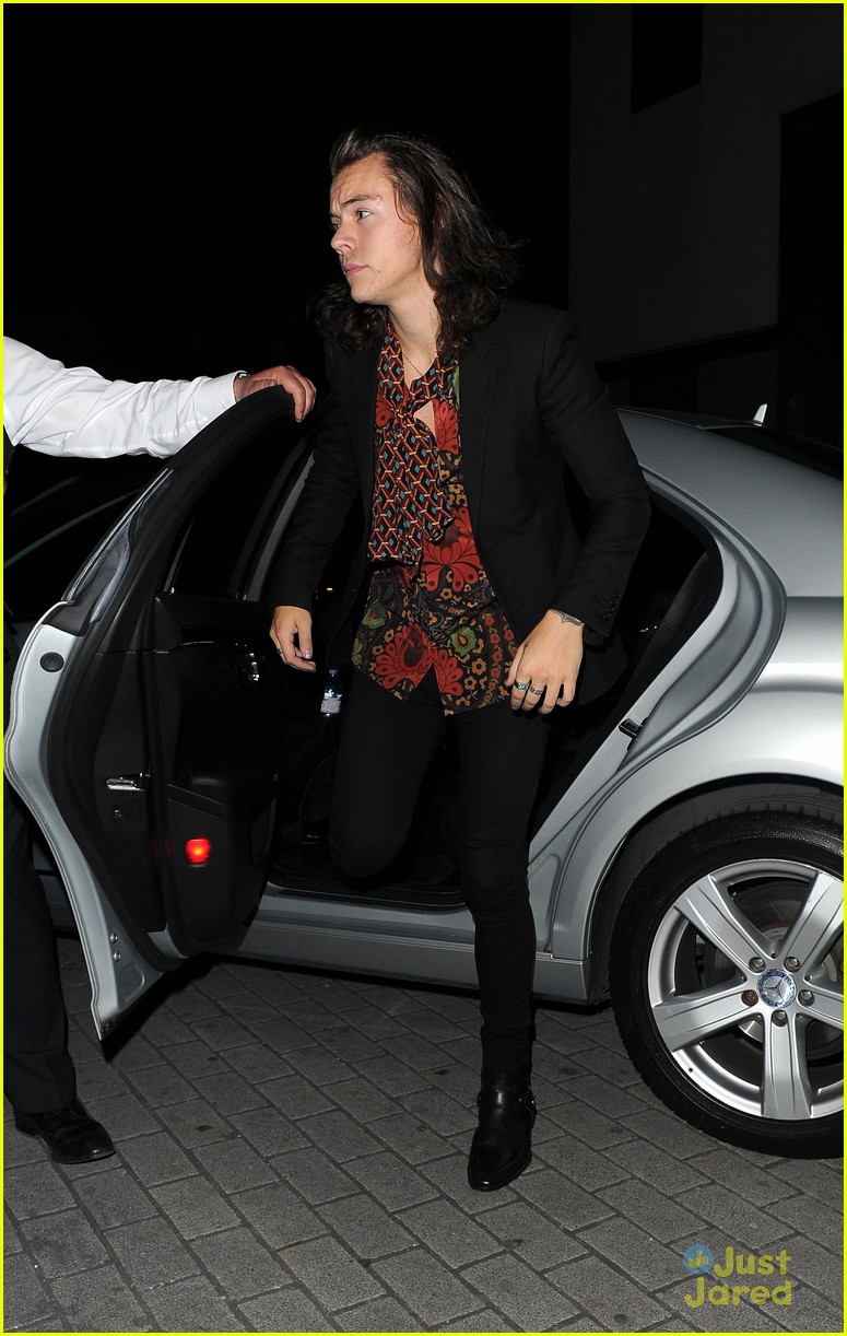 Harry Styles Reportedly Hooking Up With Victoria's Secret Model Sara Sampaio